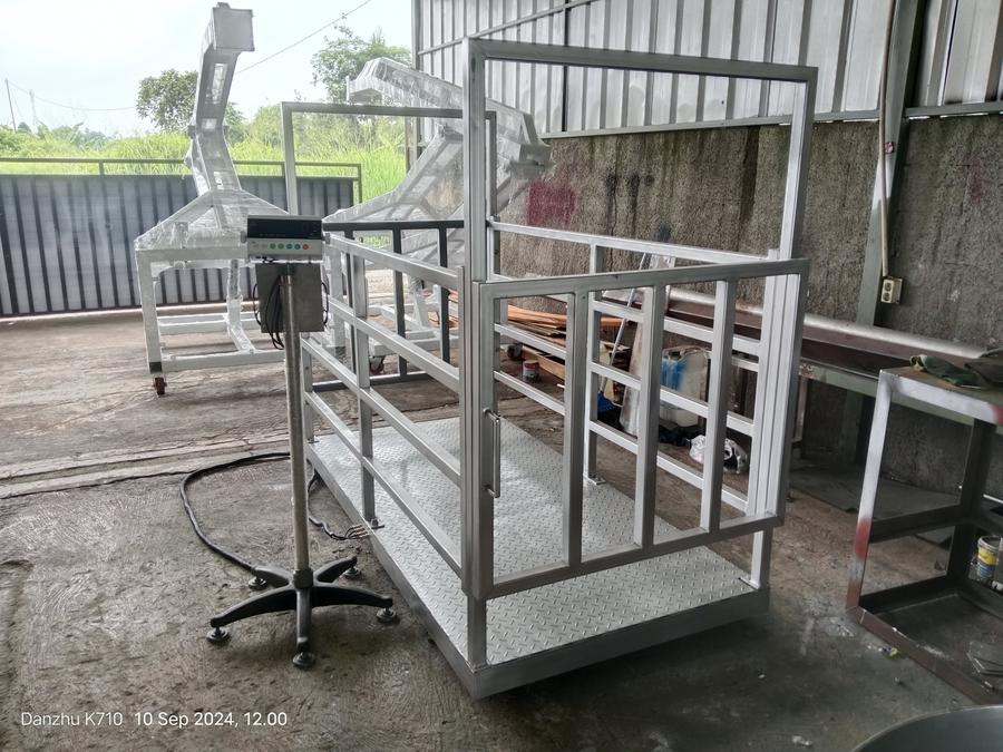 Timbangan Sapi Hidup untuk Pemeriksaan - Timbangan RPH Digital